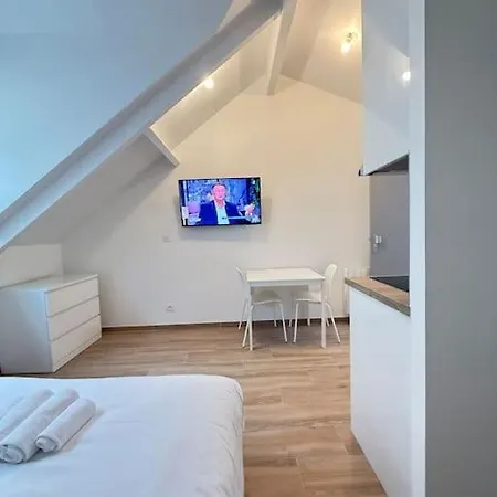 Apartment In The 16th *
